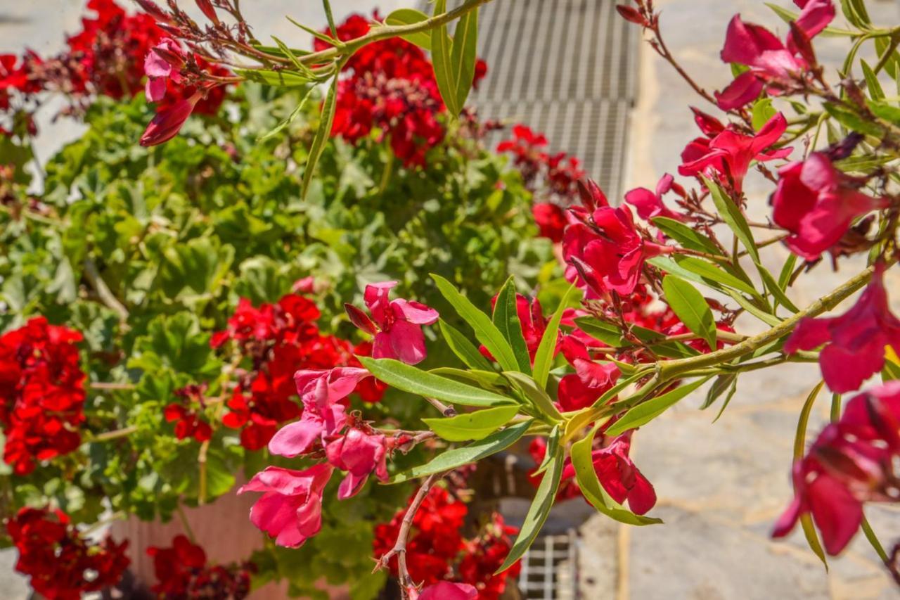 Emilia'S Little Farmhouses Agioi Anargyroi  Экстерьер фото